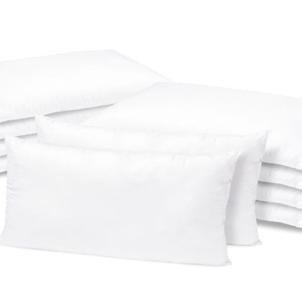 Perna alba nematlasata 50×70,bax 10 buc