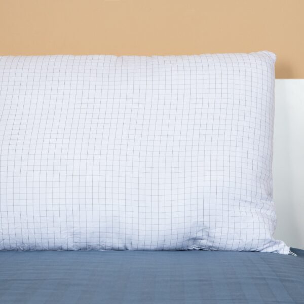 Perna Nematlasata Antistres, 50×70, Homestill